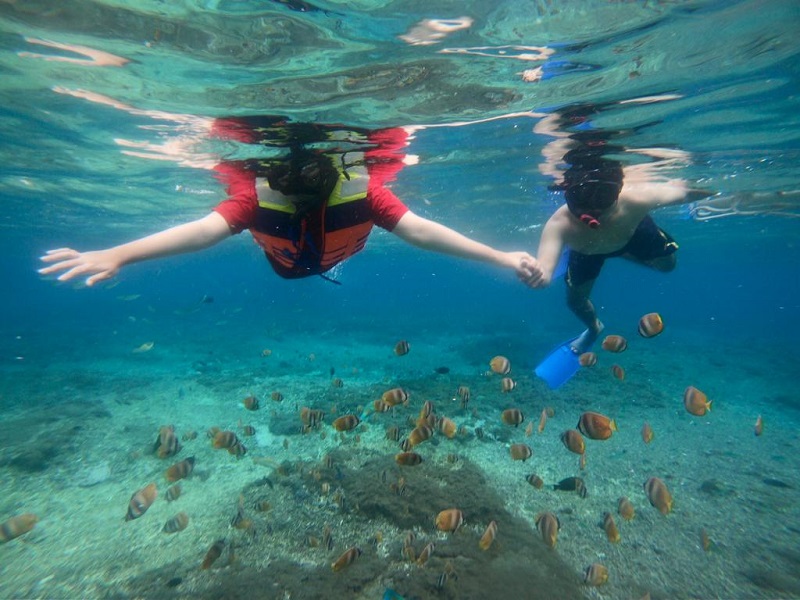 Harga Snorkeling Di Nusa Penida Terbaru